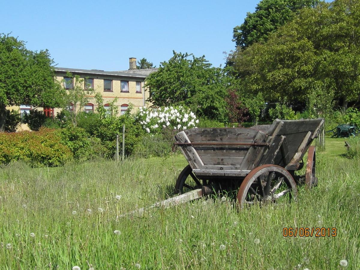 Nygammelso Bed & Breakfast Stege Εξωτερικό φωτογραφία